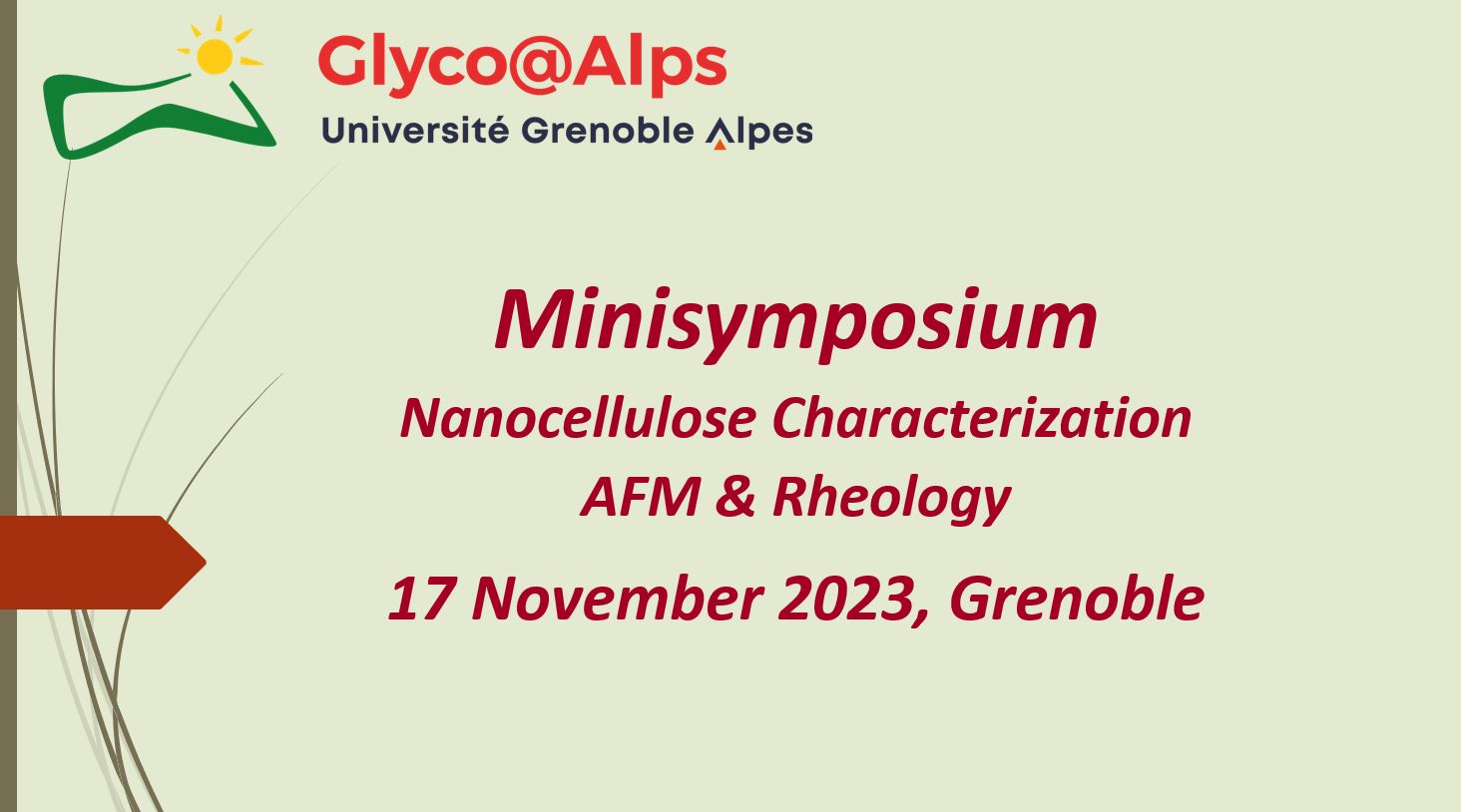 minisymposium nanocellulose
