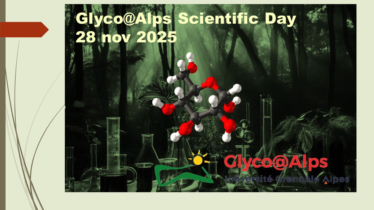 Glyco@Alps day2025